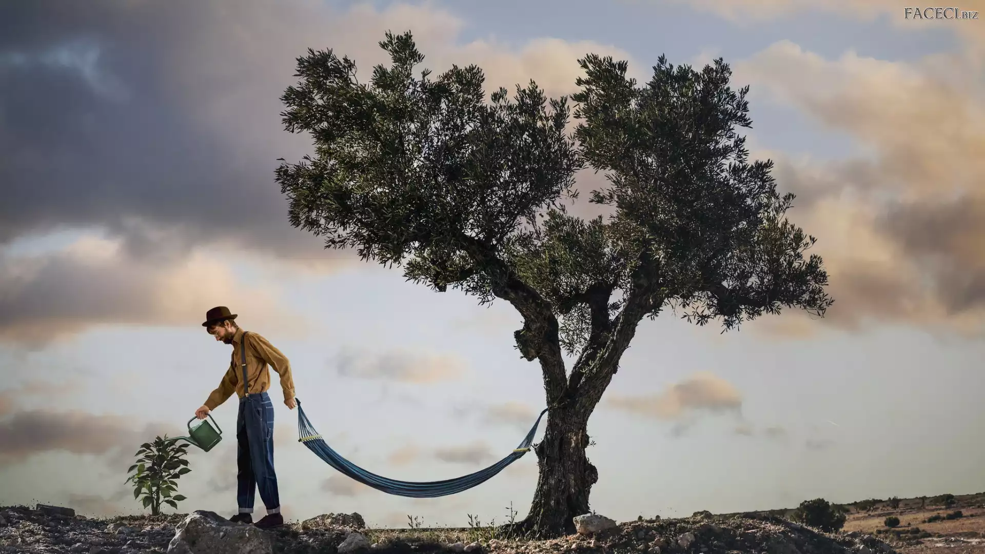 Hamak, Mężczyzna, Fotomontaż, Konewka, Drzewa, Śmieszne